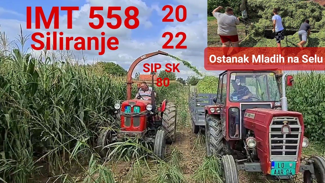 Siliranje Kukuruza 2022 Ostanak MLADIH na Selu | IMT 558 i SIP SK 80