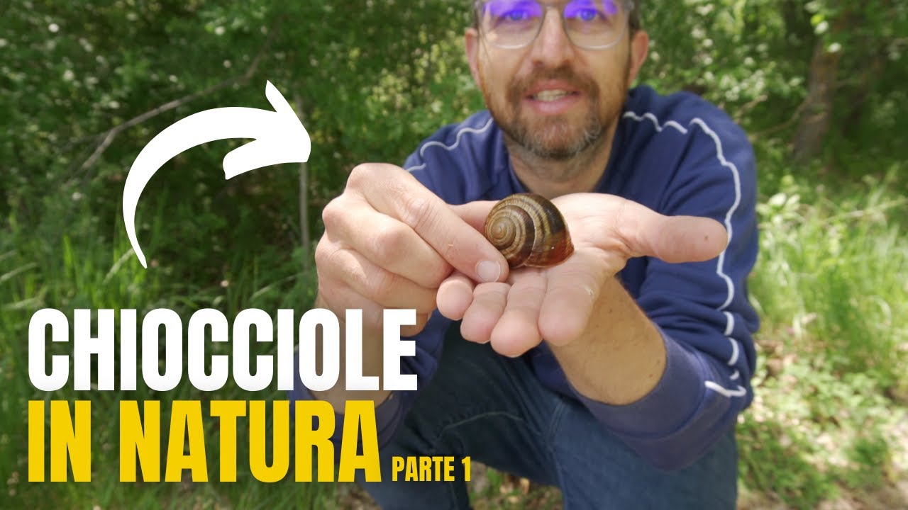 Cerchiamo le chiocciole in natura (parte 1)