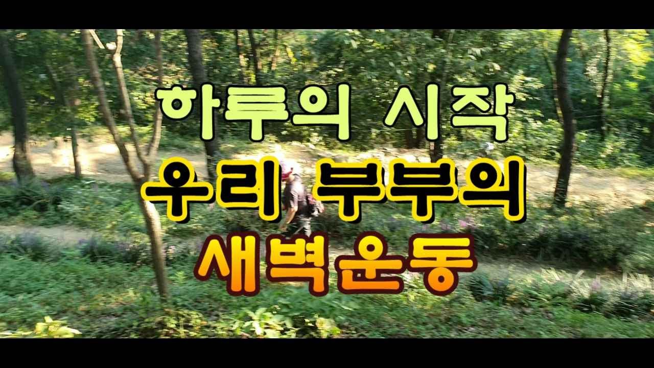 하루의 시작, 우리 부부의 새벽운동