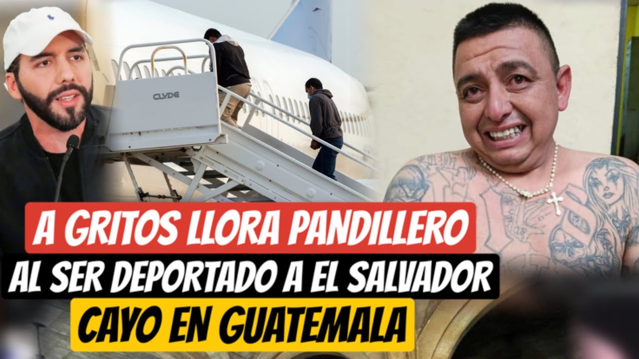 LL0RA PANDILLER0 AL SER DEPORTADO CAYO EN GUATEMALA 