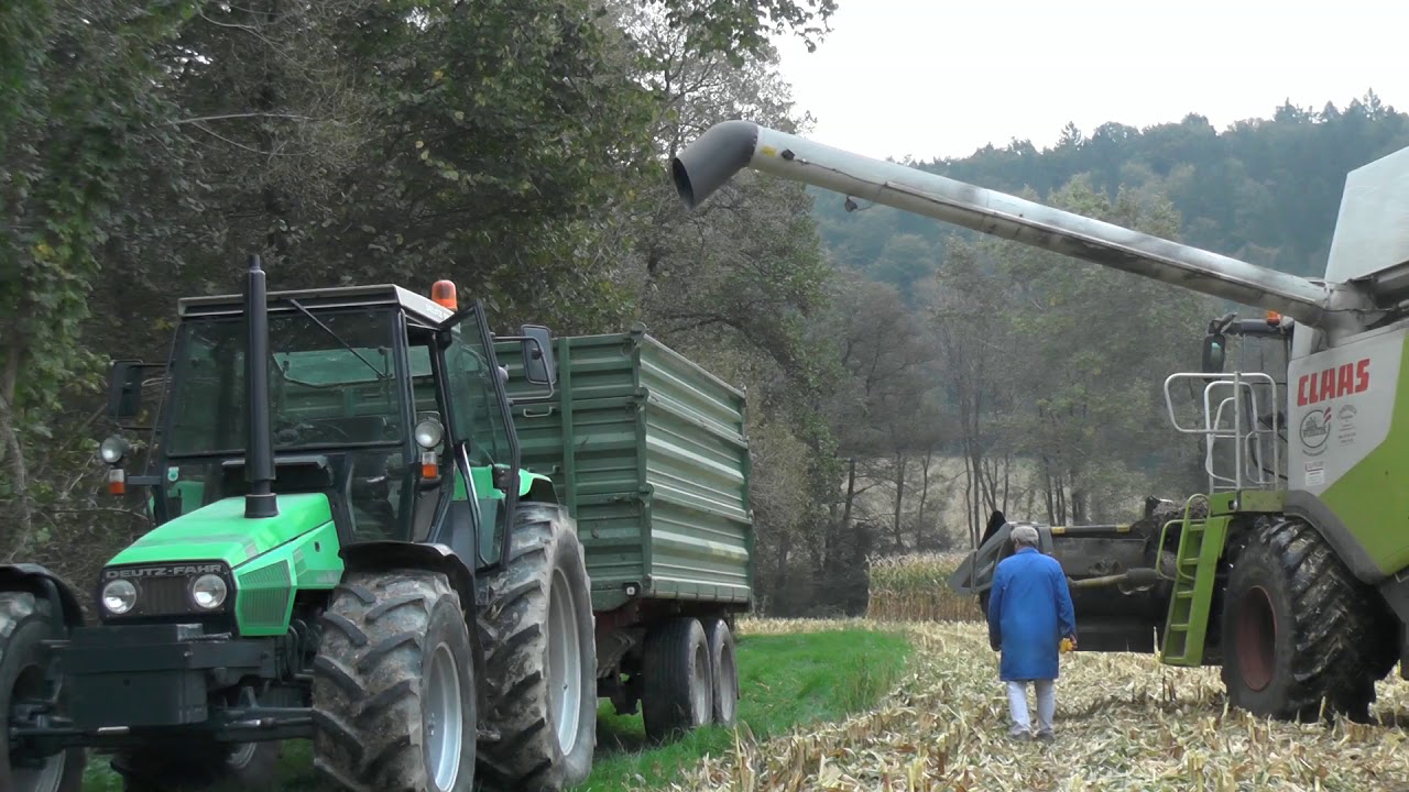 Mais Dreschen mit Claas Lexion 660 und Silbern 9 reihigen Geringhoff Maisplücker beim Worz Dreschen