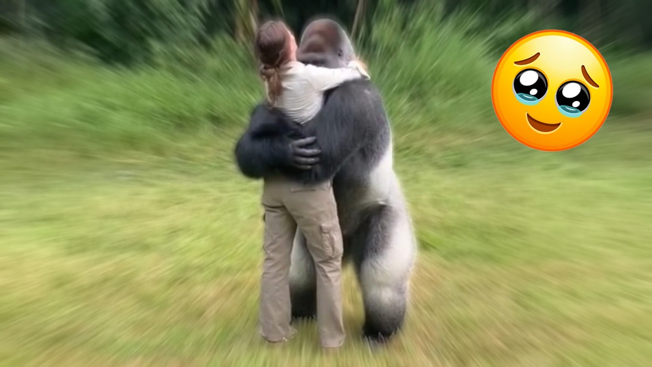 Animals Reunite With the Ones They Love… These Moments Are Pure Emotion