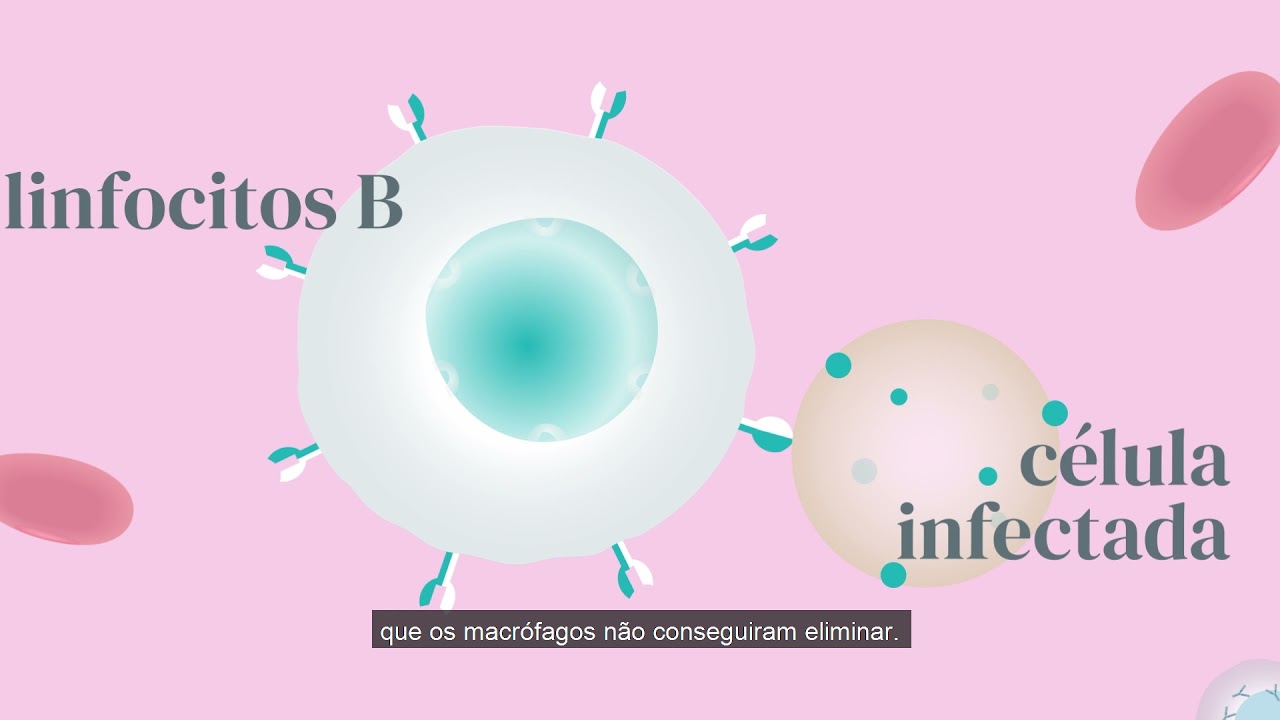 Como a vacina contra a Covid-19 funciona em nosso corpo?