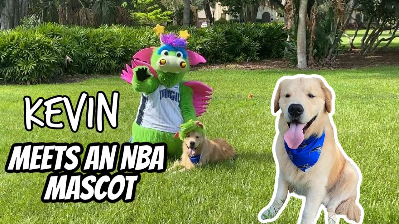 Kevin Meets an NBA Mascot!