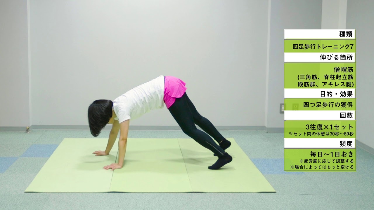 四足歩行トレーニング⑦/ゼロ・グラヴィティ理論
