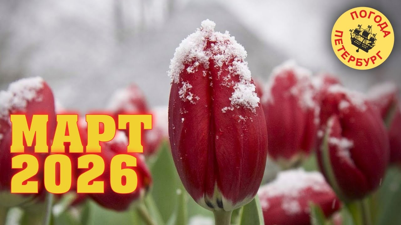 2026.03.18. Погода Петербург. 11:35. +8°.  Москва.