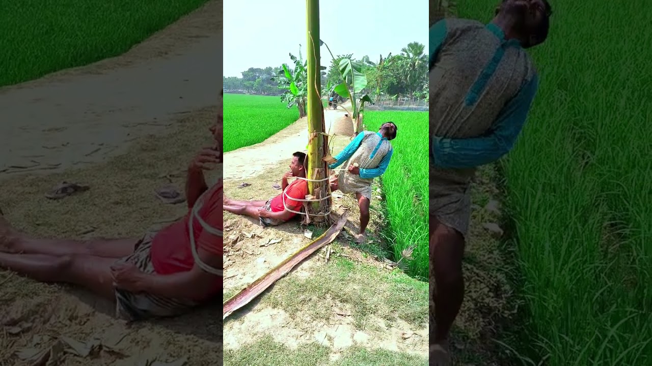 #just #funny #video #foryou 