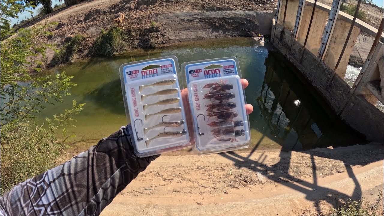PROBANDO ESTOS MINIS SEÑUELOS 😲🎣