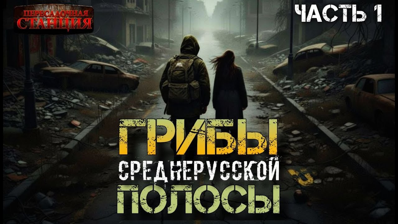 Грибы Среднерусской полосы. Часть 1 - Владимир Корн. Аудиокнига постапокалипсис. Выживание. Ласт