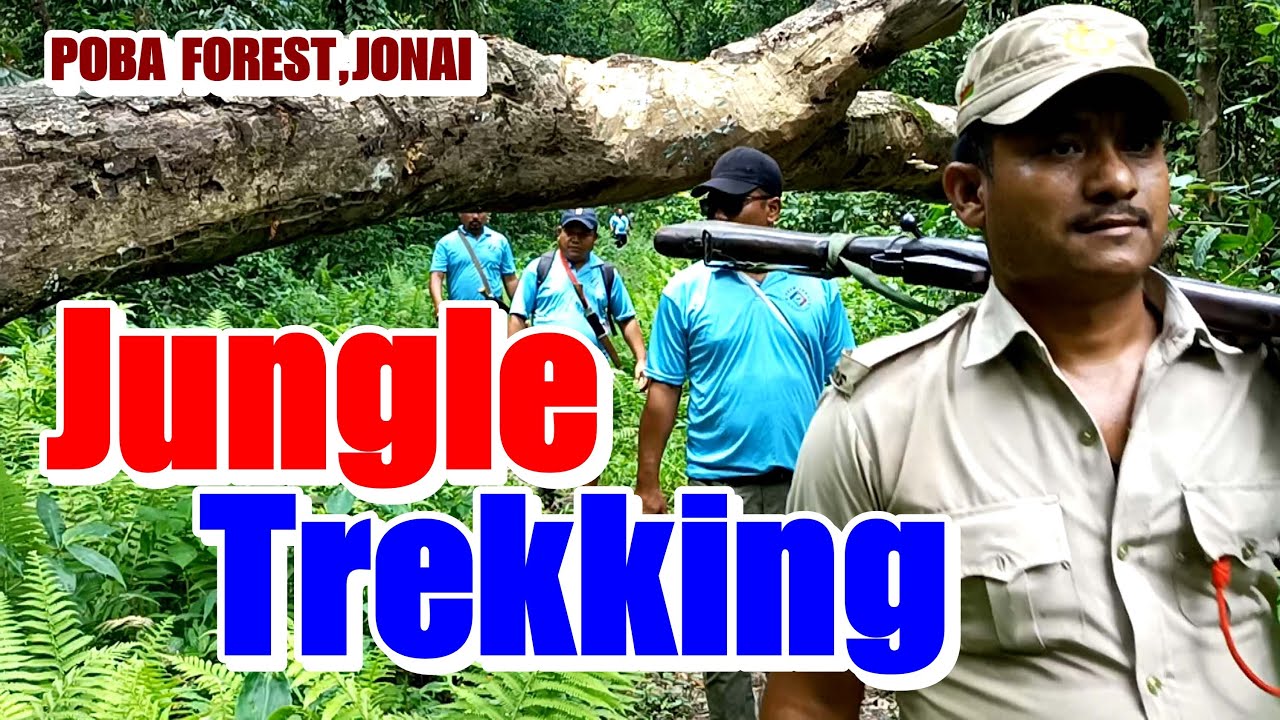 JUNGLE TREKKING-POBA FOREST, JONAI