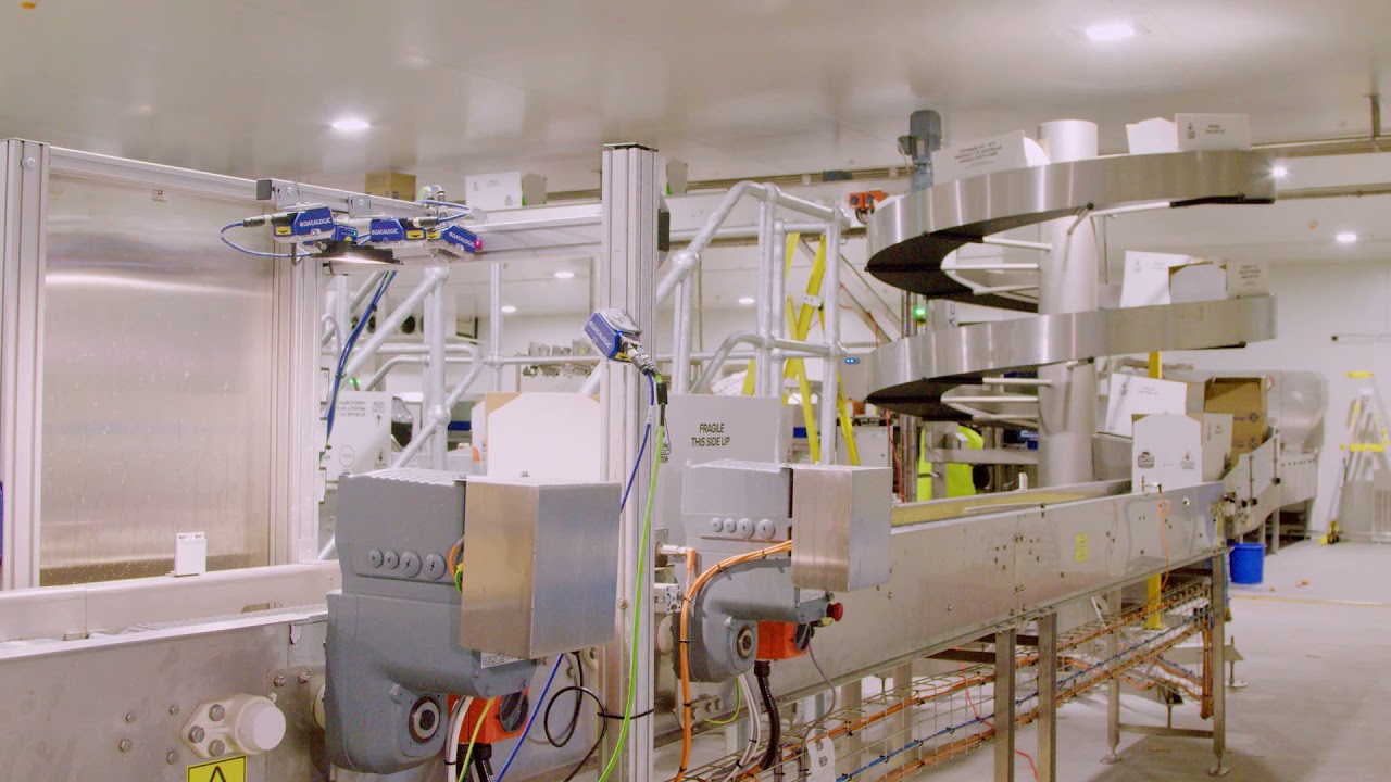 DA Hall   Fibre King   Conveyors