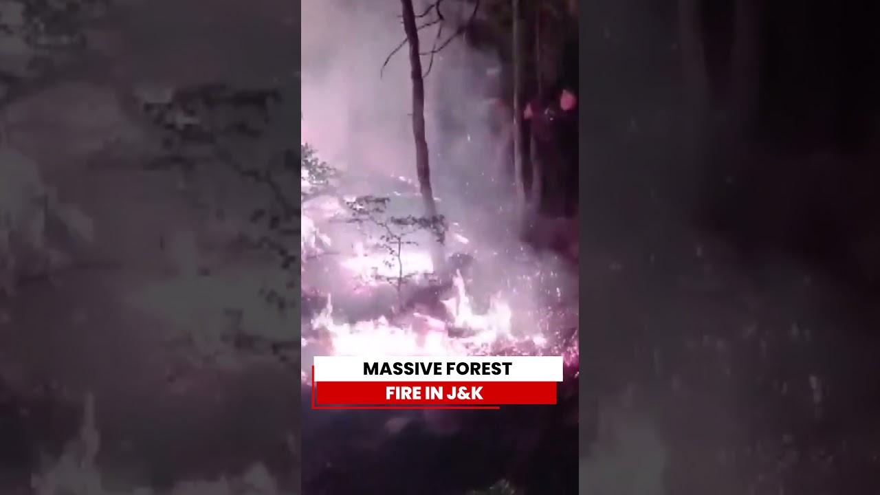Kahmir Fire News: Massive Forest Fire Breaks Out In Rajouri's Katehda Forest Area, J&K #kashmirnews