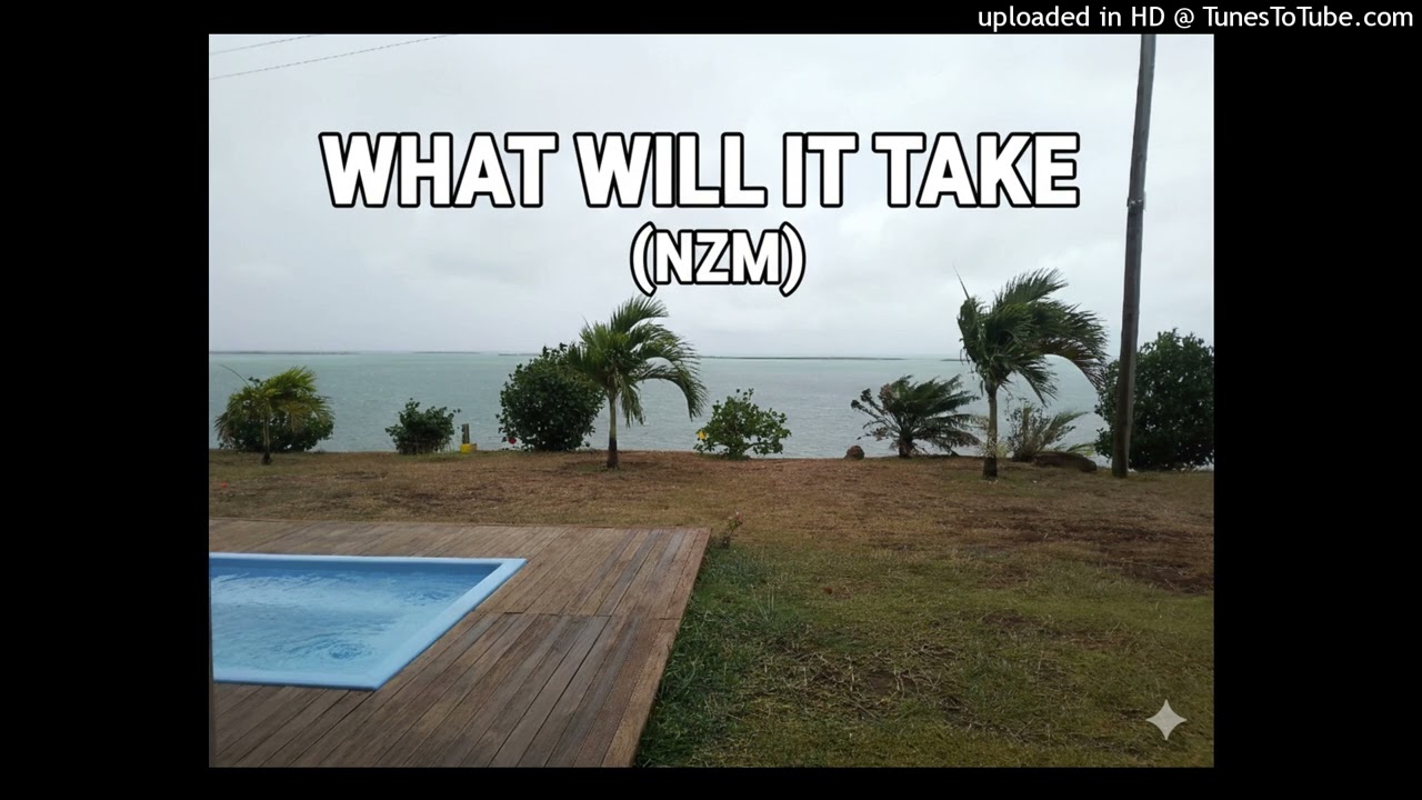 What will It Take (Ndarama Zidana Music)