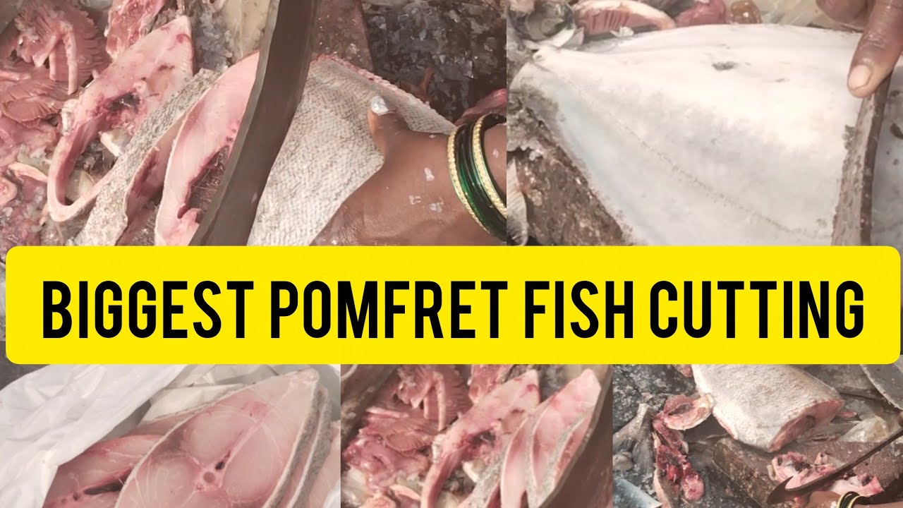 Excellent Big Pomfret Fish Cutting Skills Live In Fish Market | Fillets Fishing Cut