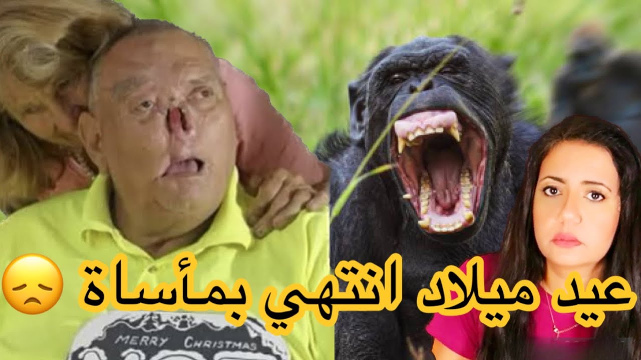 قصه هجوم شمبانزي علي الزوجين جيمس و لادونا ديفيس 😳😞