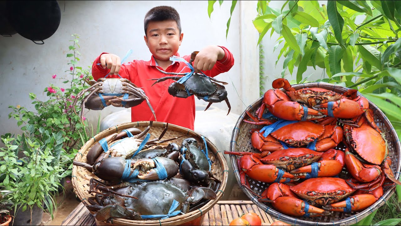 '' Big mud crab recipes '' Yummy mud crab curry cooking - Chef Seyhak