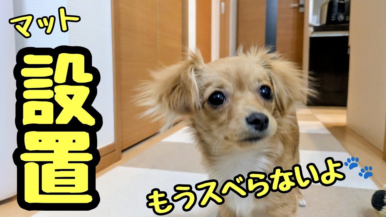 フローリングにマットを敷いてもらう『るう』