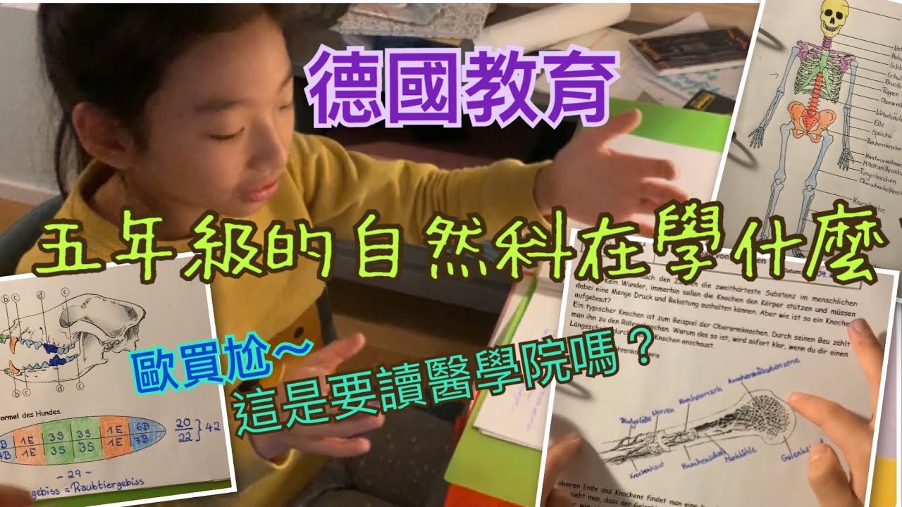 德國五年級的自然科在學什麼？丨歐買尬～這是要讀醫學院嗎？丨片尾有學霸老媽的一點個人感想