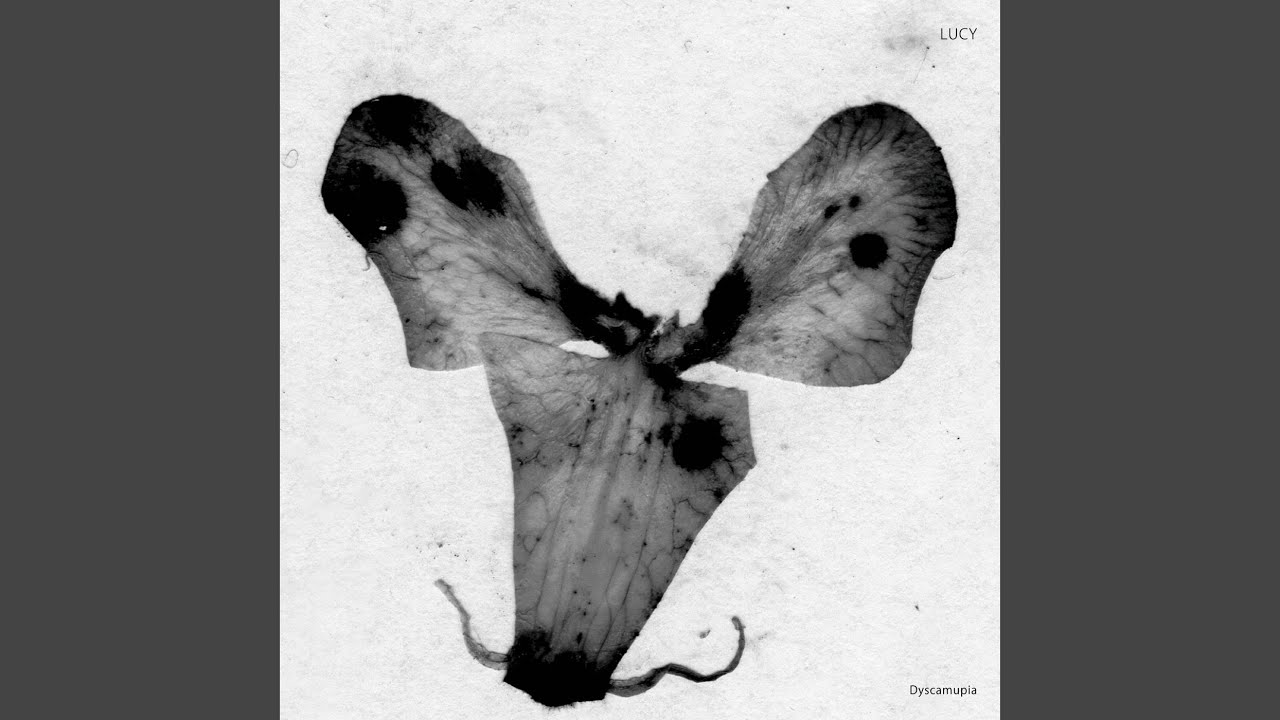 Dyscamupia (Paused)