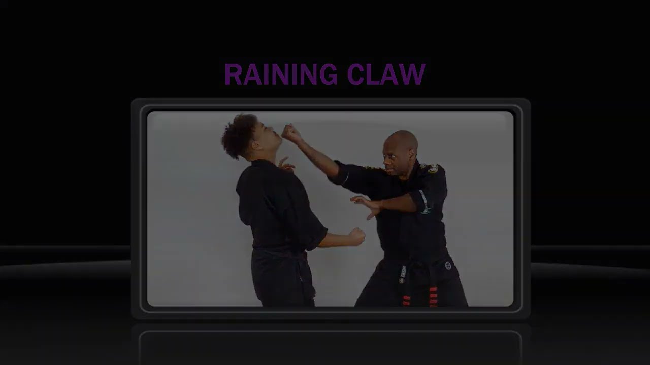 07 Raining Claw - Self defence against a right punch in stomach.