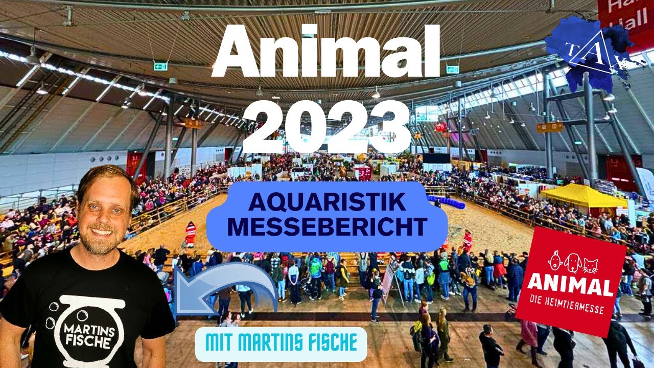 ANIMAL 2023 mit 