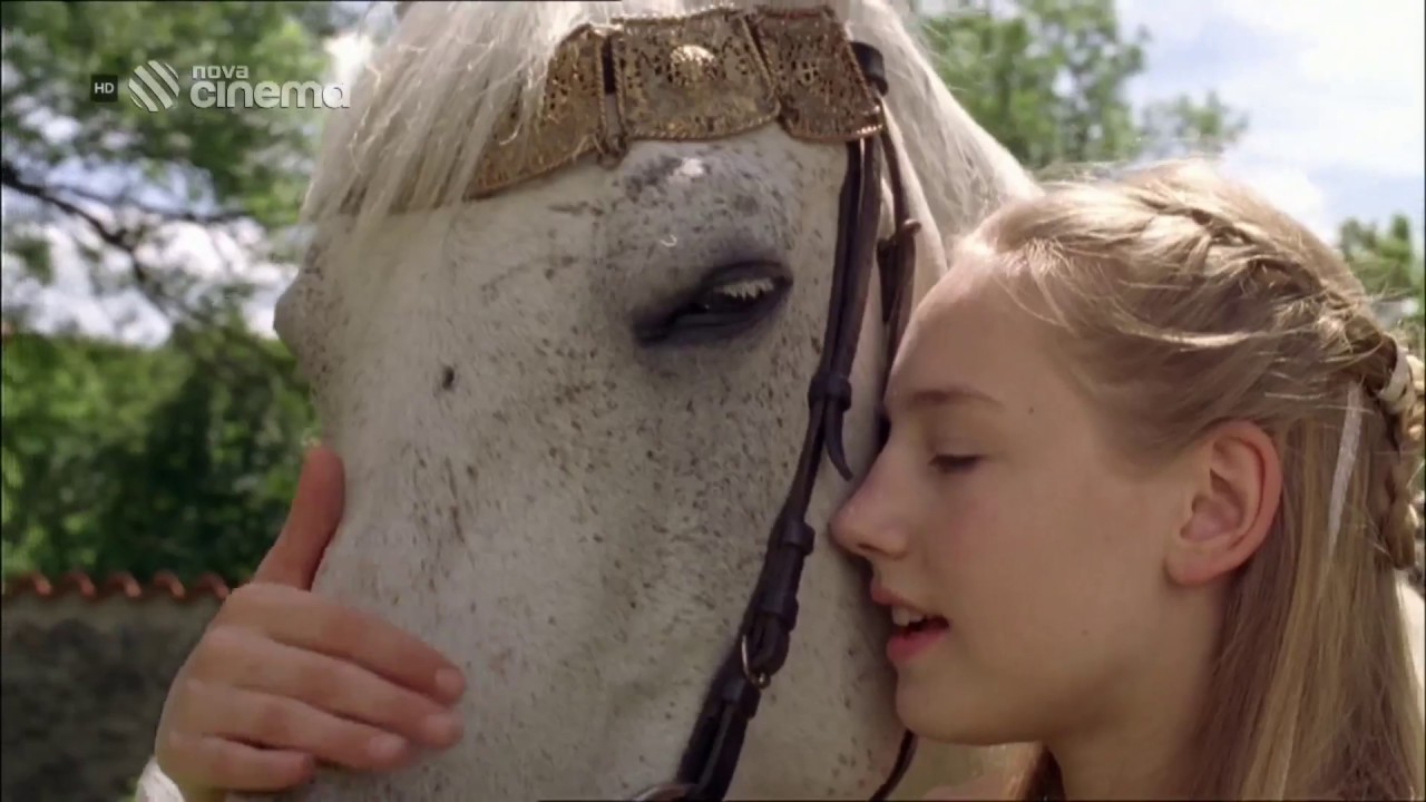 &Scaron;&Iacute;PKOV&Aacute; RŮŽENKA 2009 Fantasy / Poh&aacute;dka / Rodinn&yacute; CZ Dabing