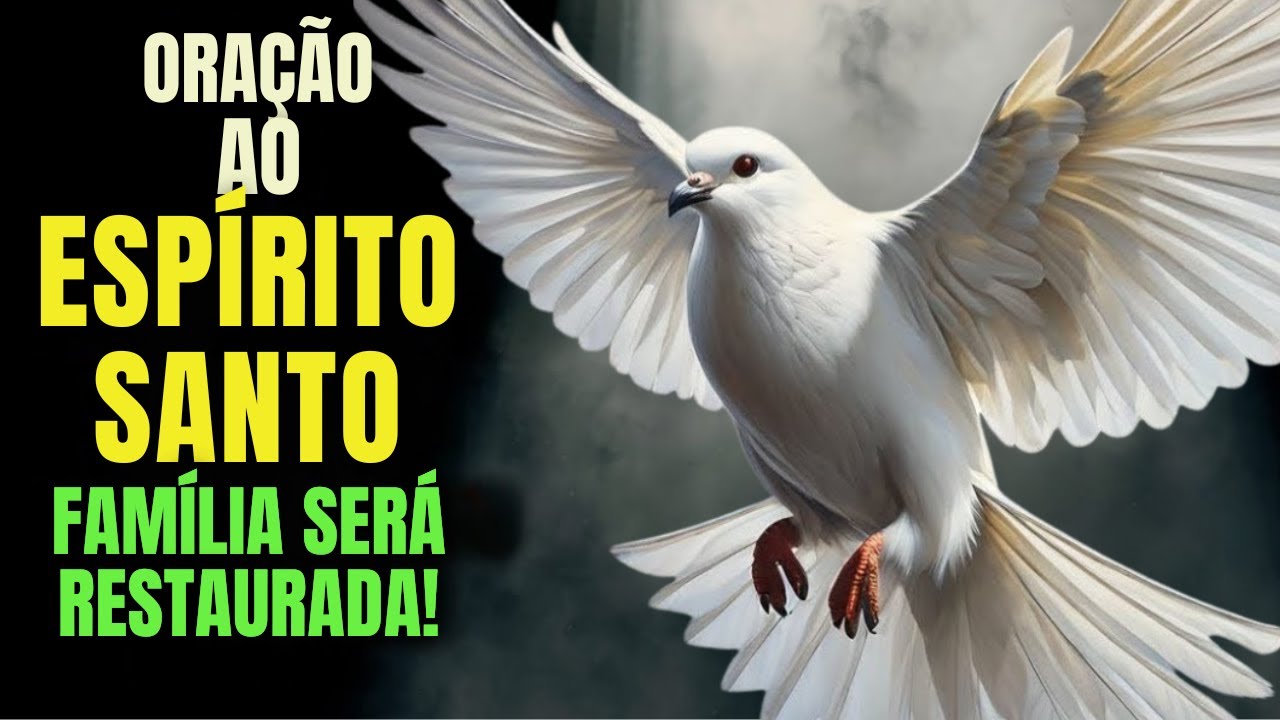 FA&Ccedil;A ESTA ORA&Ccedil;&Atilde;O AO ESPIRITO SANTO E TODA MALDI&Ccedil;&Atilde;O OCULTA NA SUA VIDA SER&Aacute; DESTRU&Iacute;DA