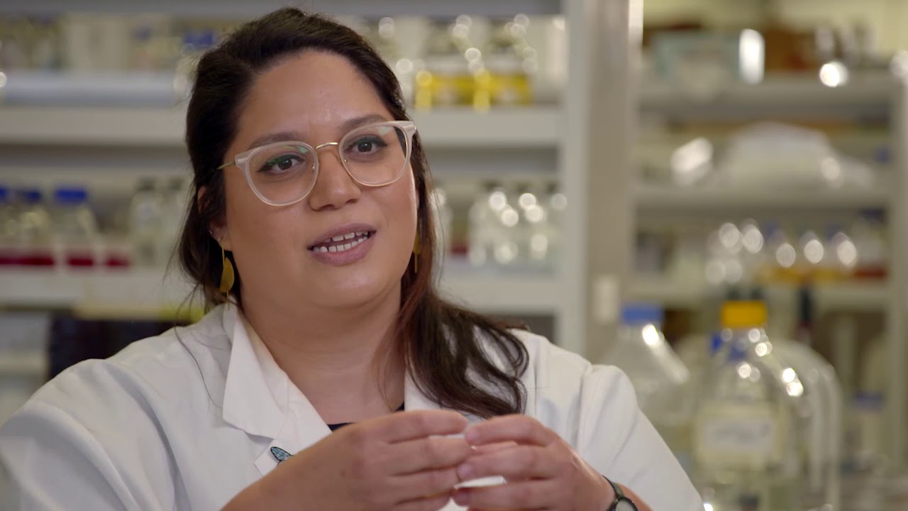The latest buzz on Manuka honey