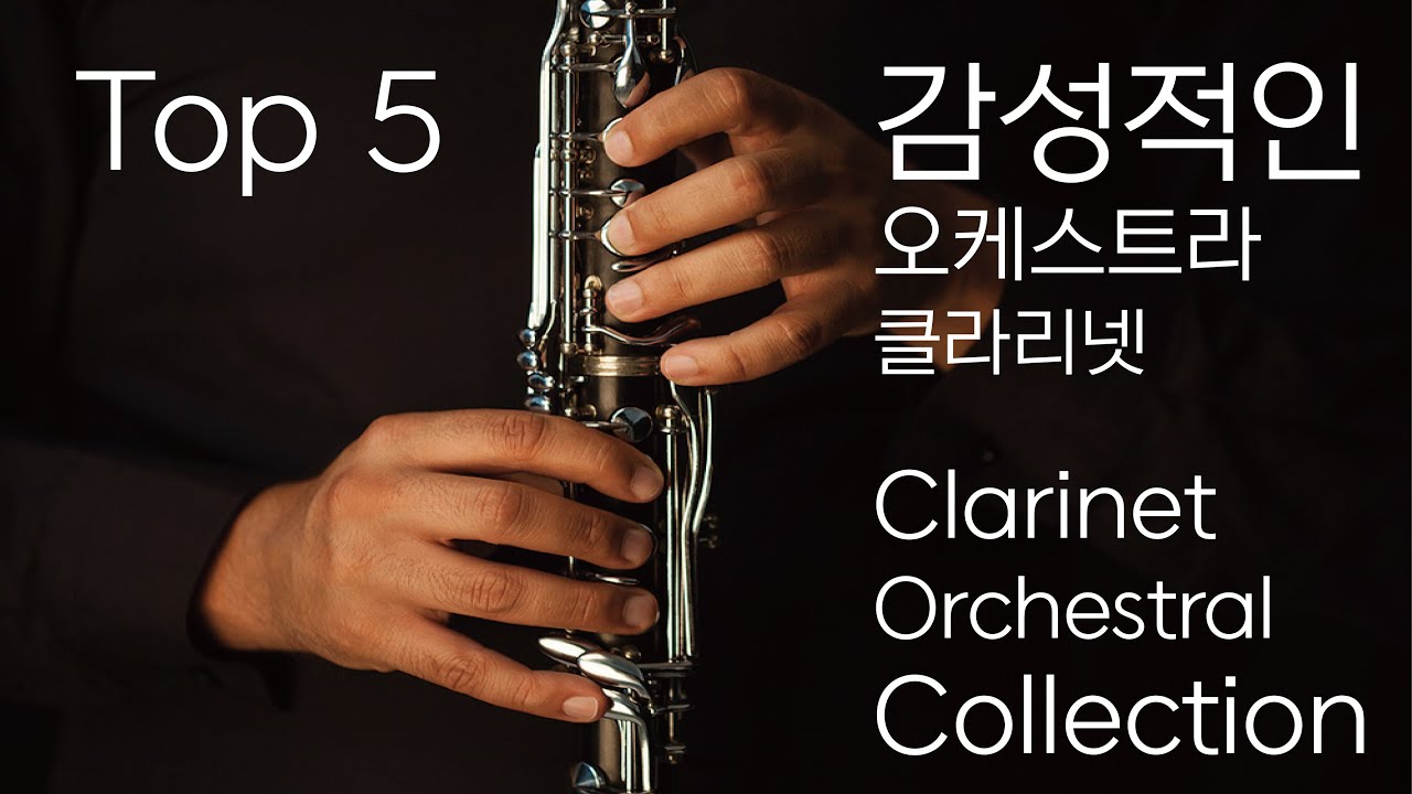 오케스트라 속 감성적인 클라리넷 TOP 5 The Emotional Clarinet Top 5 In The Orchestra