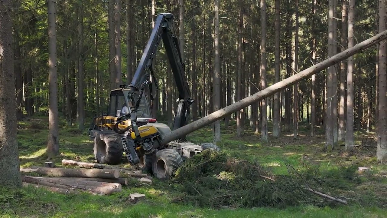 Polesí Rožmitál