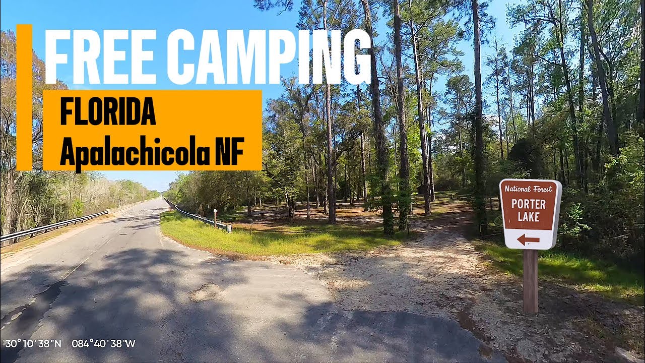 FREE CAMPING - Apalachicola National Forest - Porter Lake Campground - Florida Pan Handle Dispersed