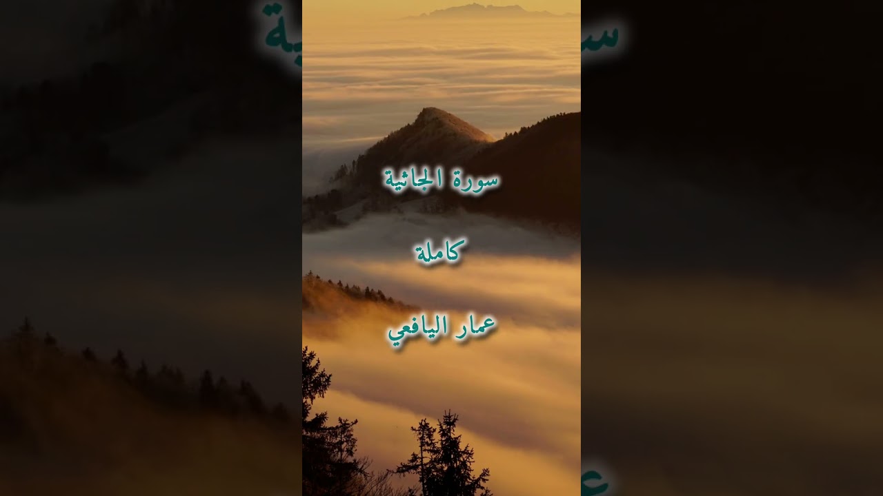 سورة الجاثية كاملة / عمار اليافعي/2026