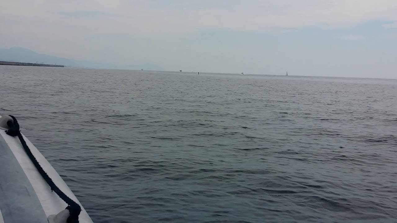 Tonno che salta Genova Sestri 2015