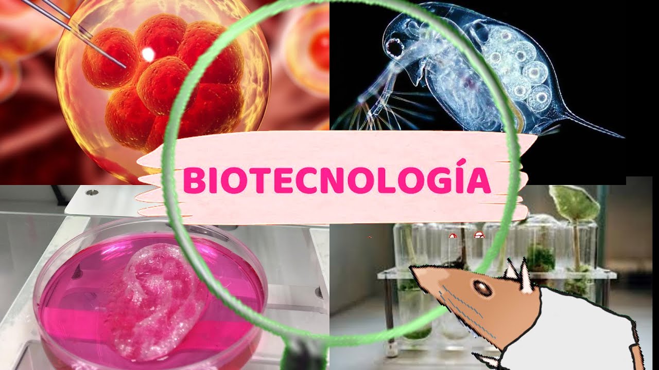 Biotecnología  en 3 minutos 🧬by Rata Pentadimensional