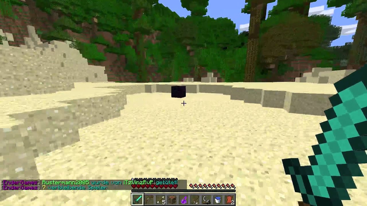 Minecraft #Ender Games