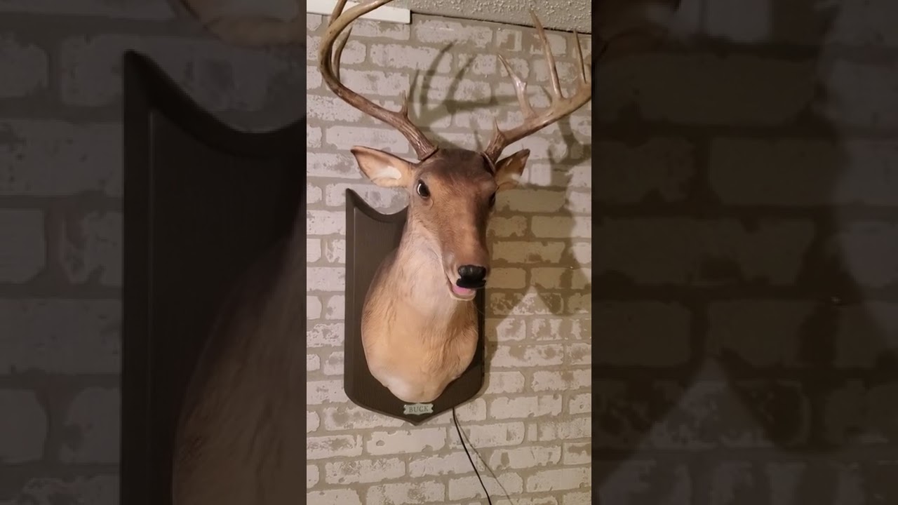 Automated Gemmy Singing Deer