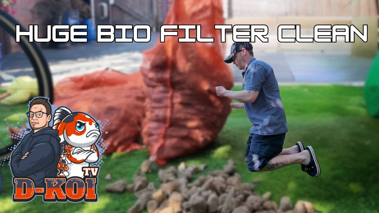 Koi Pond Maintenance – Bio Filter Deep Clean