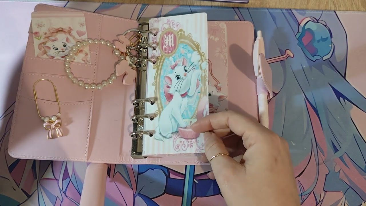 😱😱😱 💖💖ATTENTION Magnifique NOUVEAUTÉ 💖💖 carnet budget Marie les Aristochats 