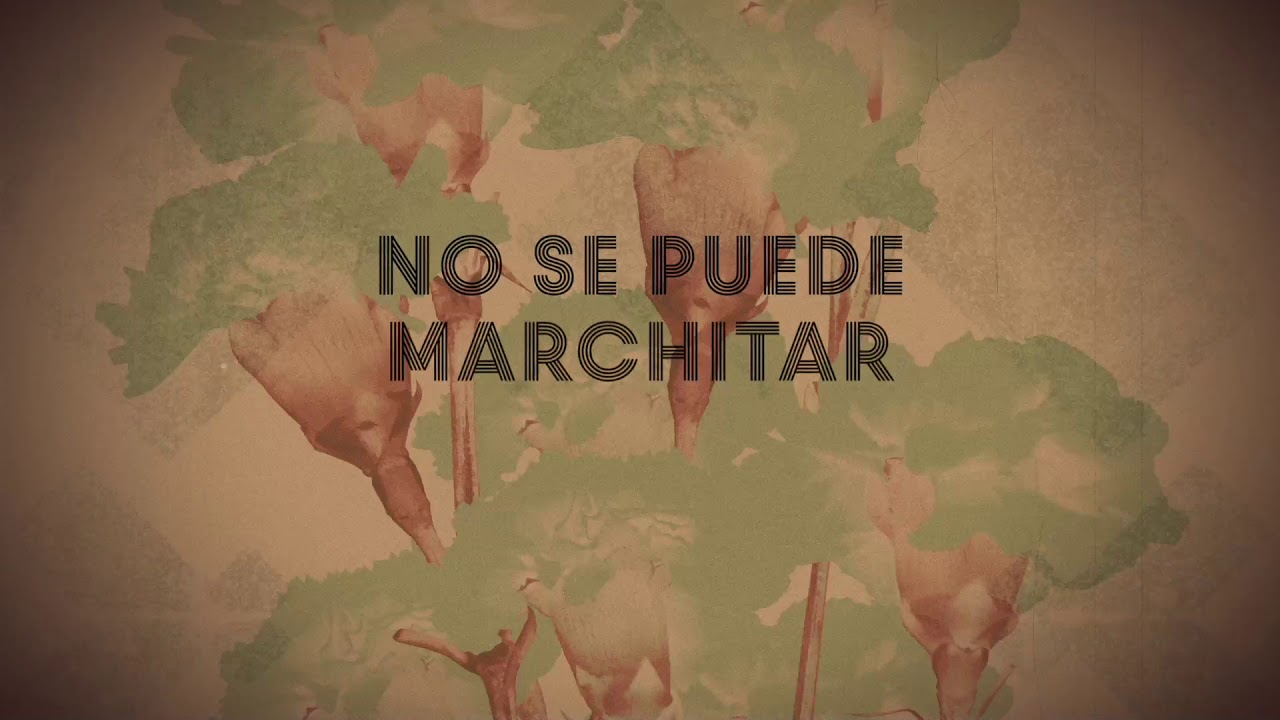 Fuel Fandango - La grieta (Lyric Video Oficial)