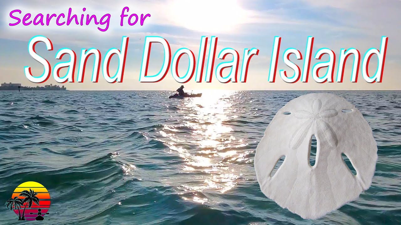 Searching for Sand Dollar Island | Kayaking Lido Key | Kayaking Siesta Key