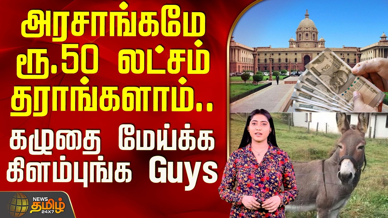 Donkey | Govt Job | அரசாங்கமே ரூ.50 லட்சம் தராங்களாம்.. கழுதை மேய்க்க கிளம்புங்க Guys.