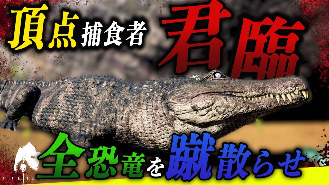 最強のワニ目指して…＃１