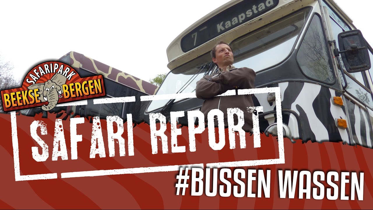 SAFARI REPORT | #56 BUSSEN WASSEN