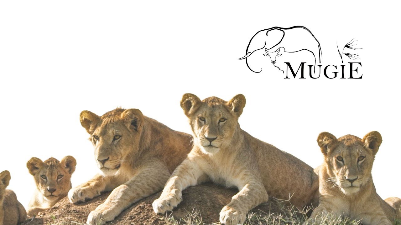 The Mugie Story - Mugie Conservancy Laikipia, Kenya