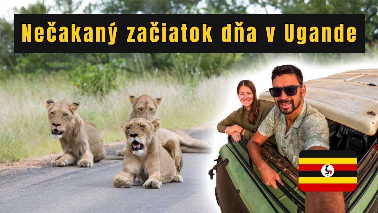 Divoké LEVY nám SKRÍŽILI cestu🇺🇬