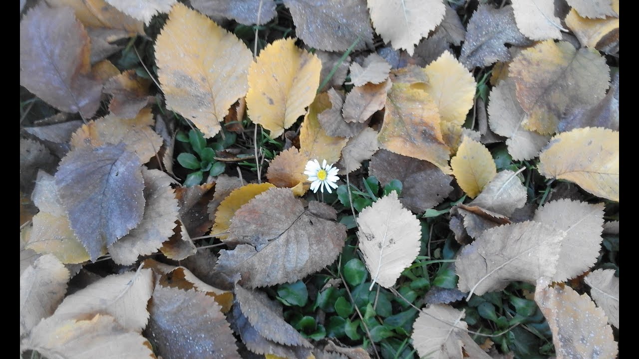 EXPLORANDO. BUSCANDO.