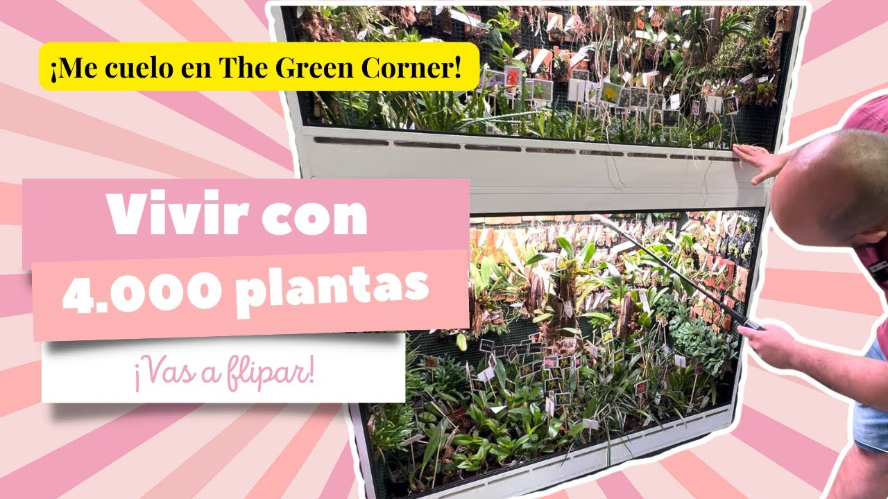 🪴¡¿4.000 plantas en casa?! 😱 ¡¡Me cuelo en The Green Corner!!