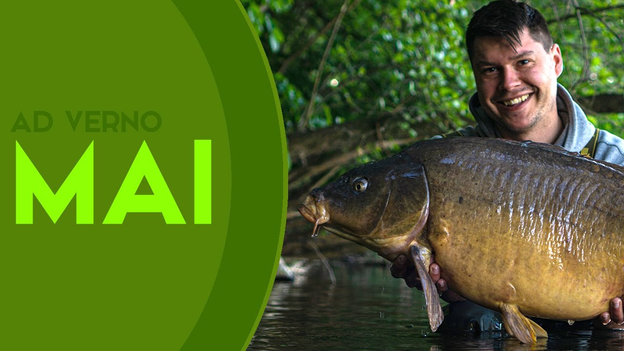 Karpfenangeln im Mai - Der beste Monat | Ad Verno
