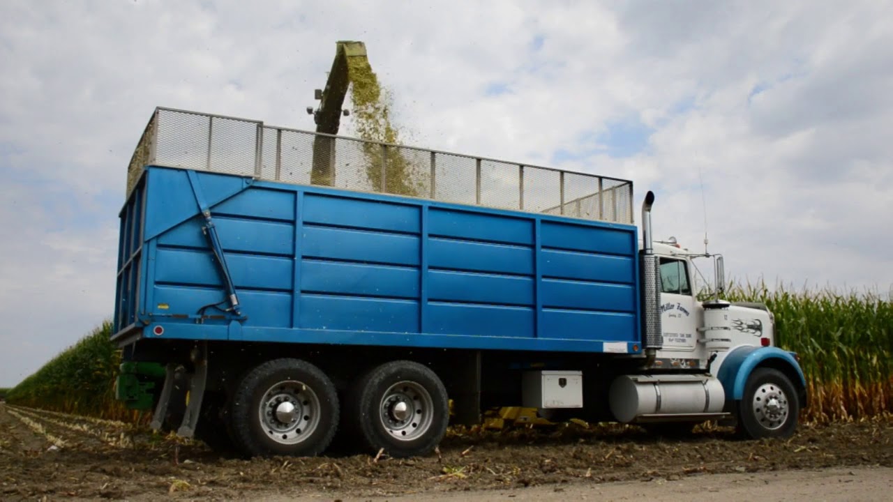 Miller Farms Silage Harvest 2017
