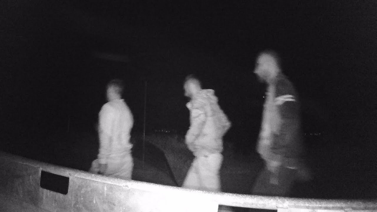 Asalto a la granja: tres detenidos tras robar 77 corderos en La Rioja